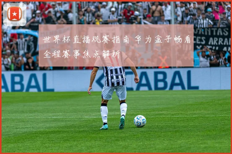 世界杯直播观赛指南 华为盒子畅看全程赛事焦点解析