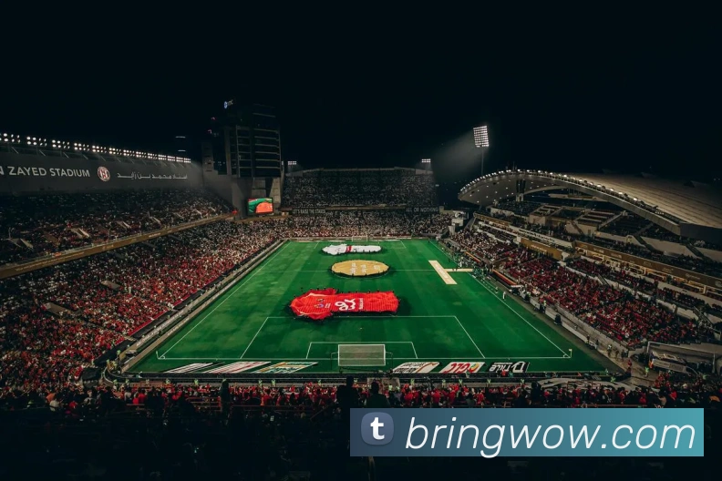 多媒体互动体验